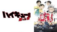 Poster for the OVA (Image credit: Production I.G)